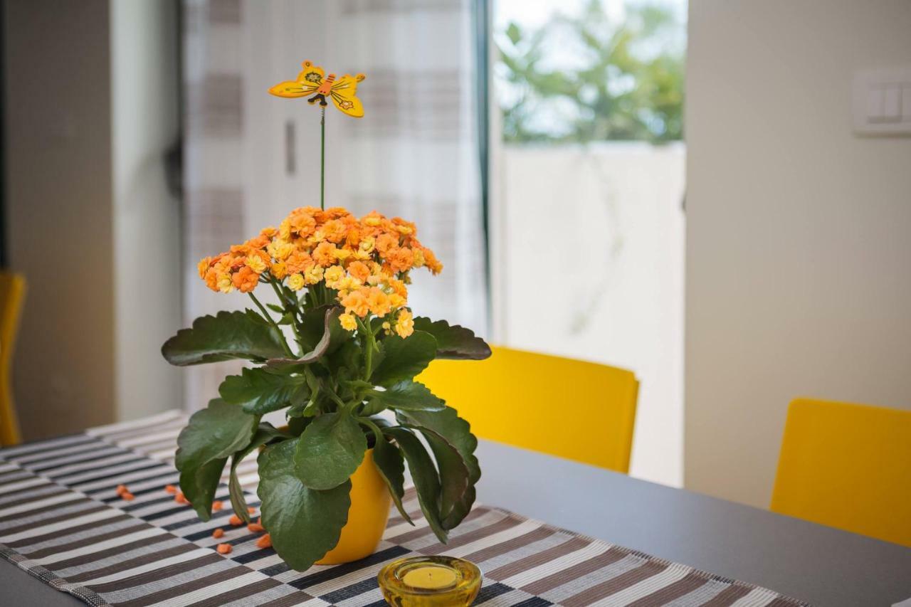 Apartments In זאוסטרוג מראה חיצוני תמונה